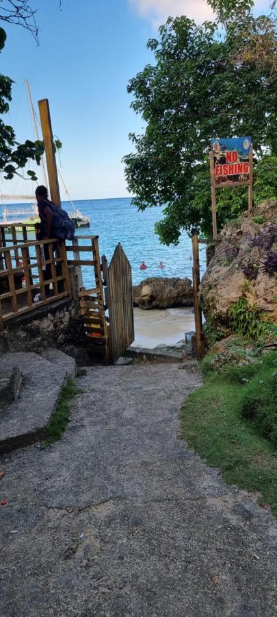 Komfort Getaway Villa At Countrymist Ocho Rios Exteriör bild