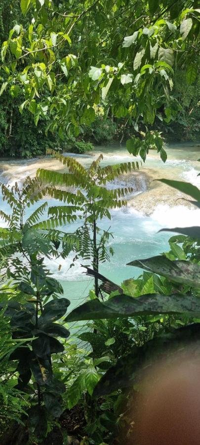 Komfort Getaway Villa At Countrymist Ocho Rios Exteriör bild