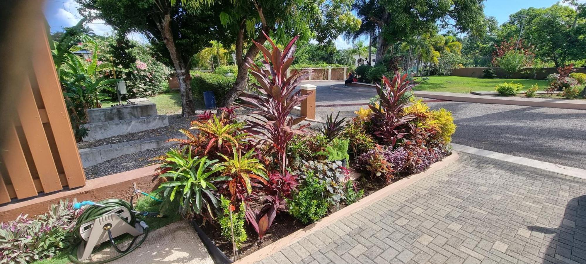 Komfort Getaway Villa At Countrymist Ocho Rios Exteriör bild